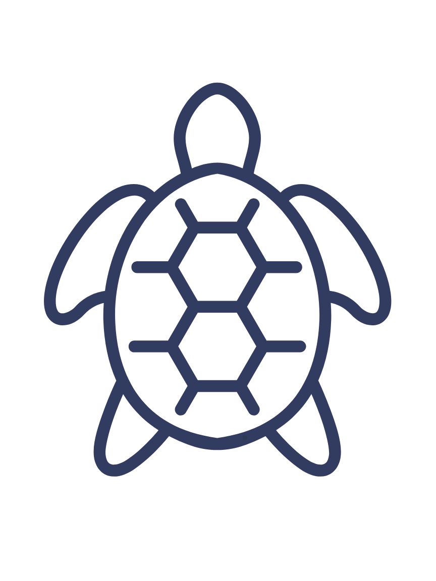 Sea Turtle Beach Blanket